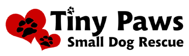 tiny paws small animal rescue